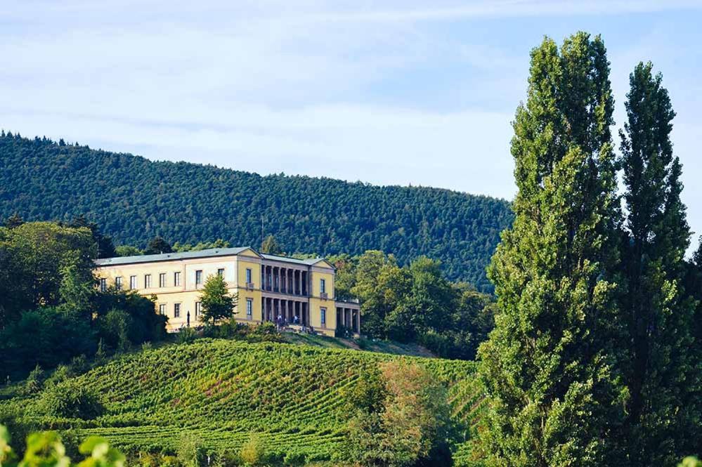 Pfalz-Dorfhaus Бурвайлер Екстериор снимка